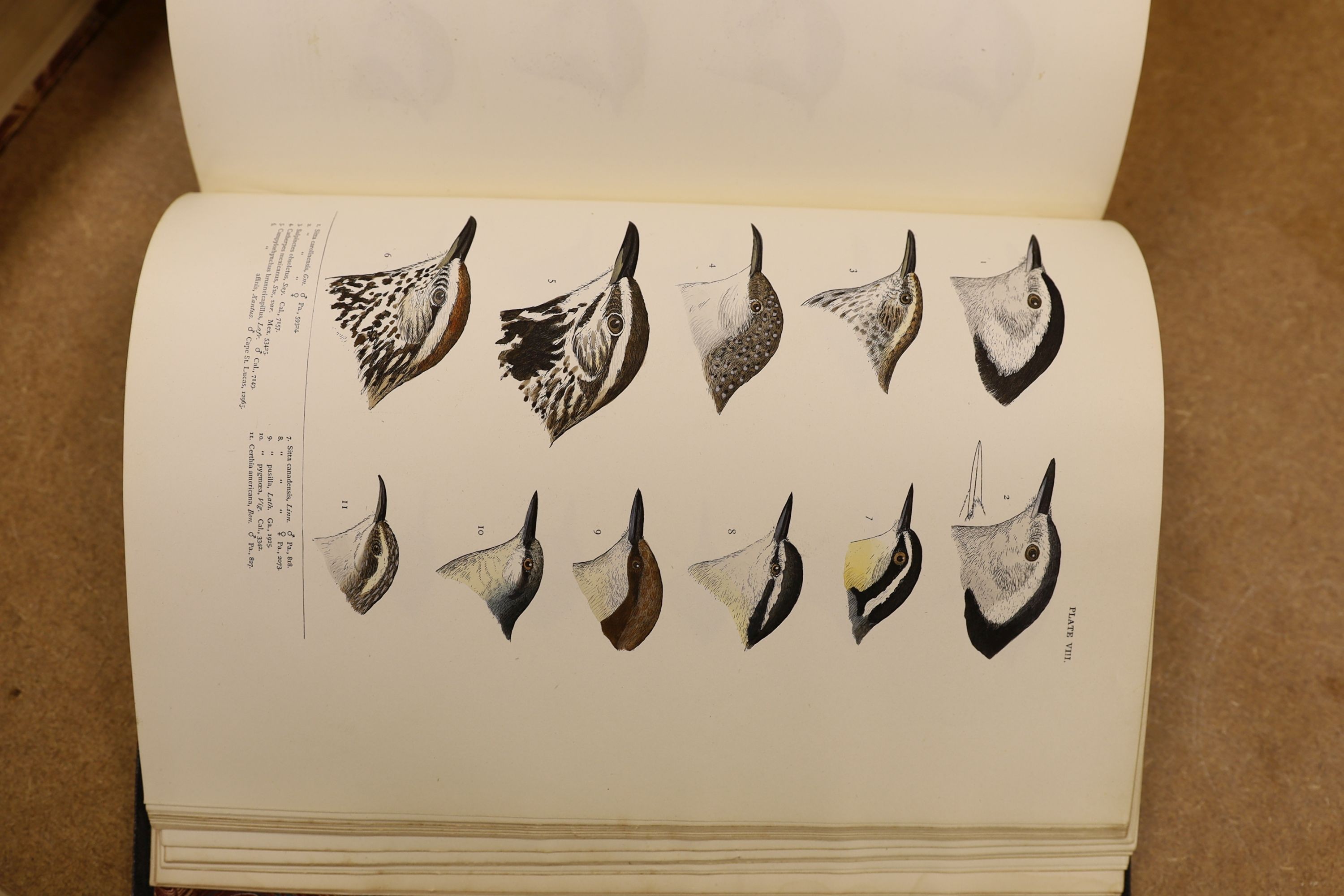 Baird, S.F. & Others - A History of North America Birds: Land Birds, 3 vols., coloured plates and other illus.; old half leather and marbled boards, gilt tops and marbled e/ps., 4to.